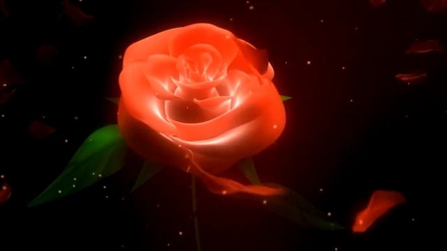 Beautiful Animated Rose Background Video Effects HD смотреть онлайн