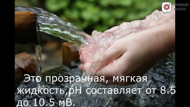 Влияние “живой” и “мертвой” воды на растительные организмы смотреть онлайн