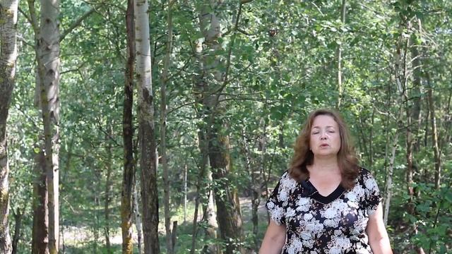 Все достижимо Автор Алла Зайцева. Читает Наталья Зайцева. Стихи. смотреть онлайн