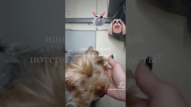 ищем настоящую маму этой замечательной девочки?мама услышь нас?желающие проходите мимо.... смотреть онлайн