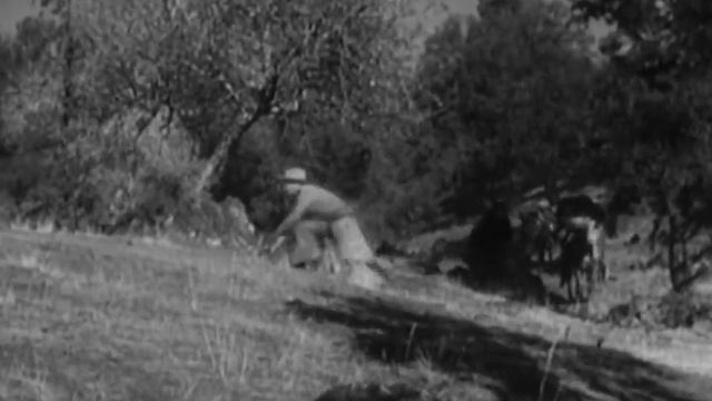 TRAIL DUST - William Boyd, James Ellison, George 'Gabby' Hayes - Full Western Movie [English] - HD смотреть онлайн