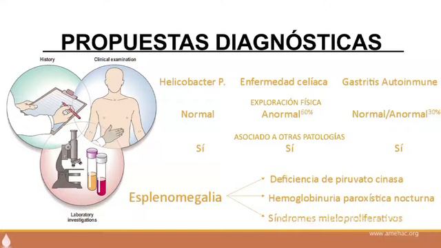 AMEH NOV parte 3 смотреть онлайн