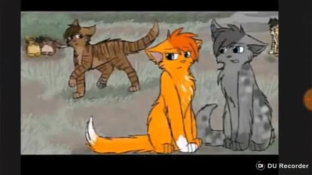 Коты Воители - Книга Жизни смотреть онлайн