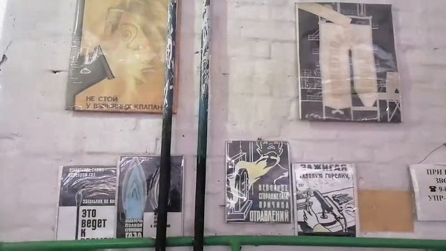 Зелёный мир в котельной. Эти растения растут в котельной смотреть онлайн