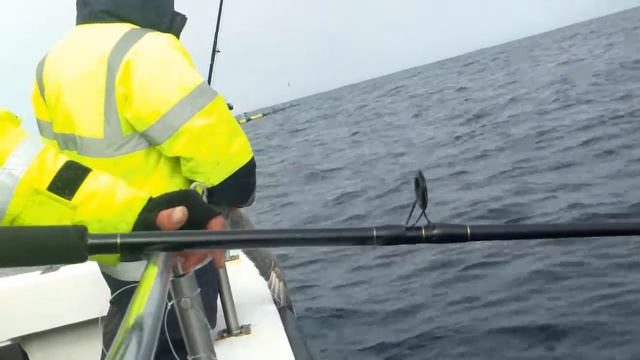 Chris Gibson caught a bird.wmv смотреть онлайн