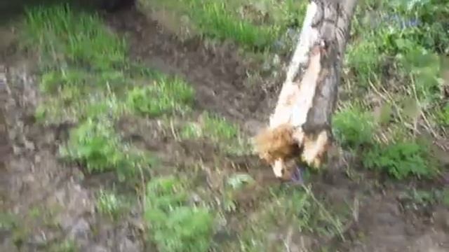 Для чего нужен передний силовой бампер. смотреть онлайн