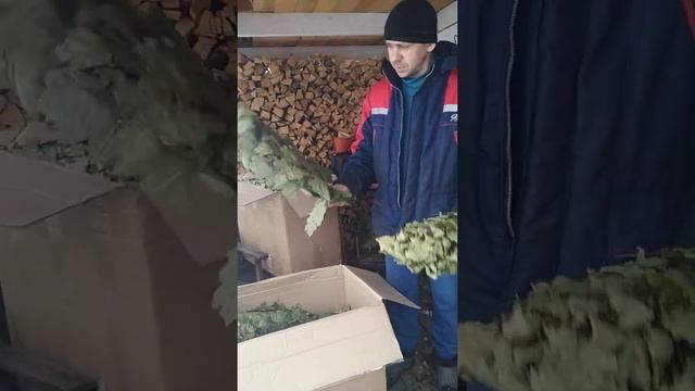 Дубовые веники. смотреть онлайн