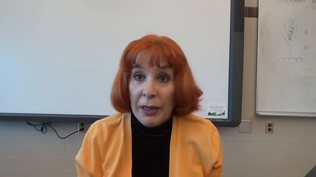 GS1657 Как отвечать на вопросы почему не была замужем, почему ищу иностранца. смотреть онлайн