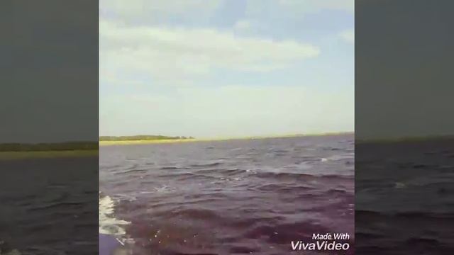 VLOG: речка/катание на лодке) смотреть онлайн