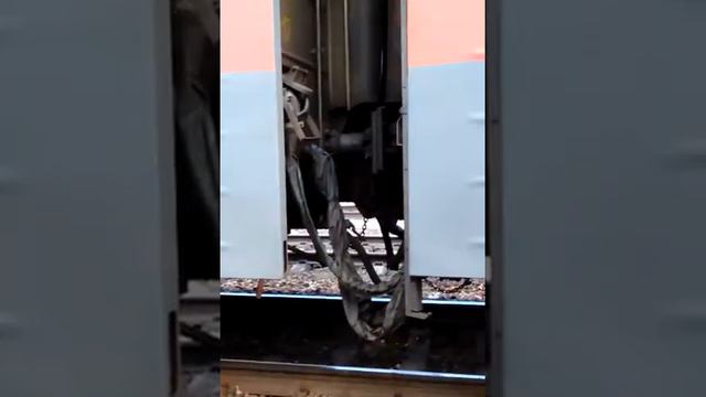 Электропоезд Ижевск Казань