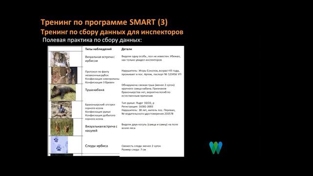 Module 9 - Session 5: Использование программы SMART смотреть онлайн