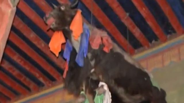 Tibet. Sakya. смотреть онлайн