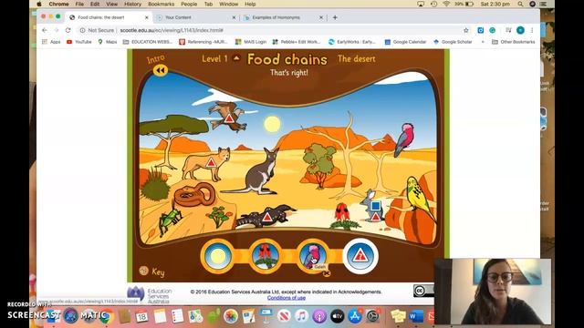 Food Chains - Serious Game - TASK 6 смотреть онлайн