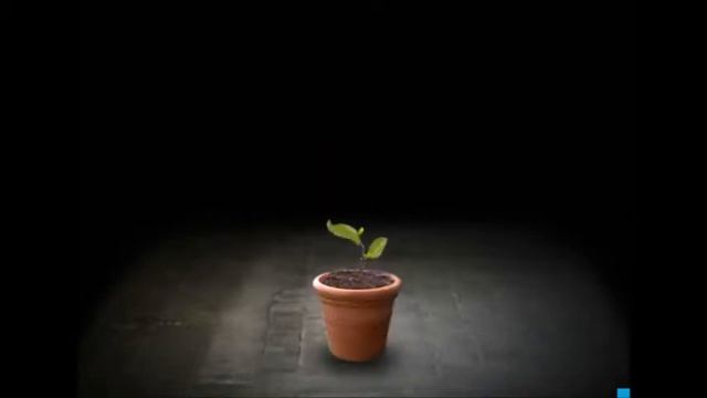 Митоза. Деление клеток. Прикольная игра. Онлайн игра. Детское тв. Kids games. смотреть онлайн