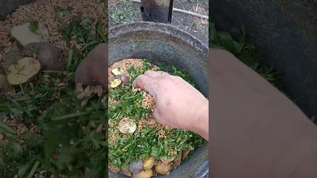 каша для кур:) смотреть онлайн
