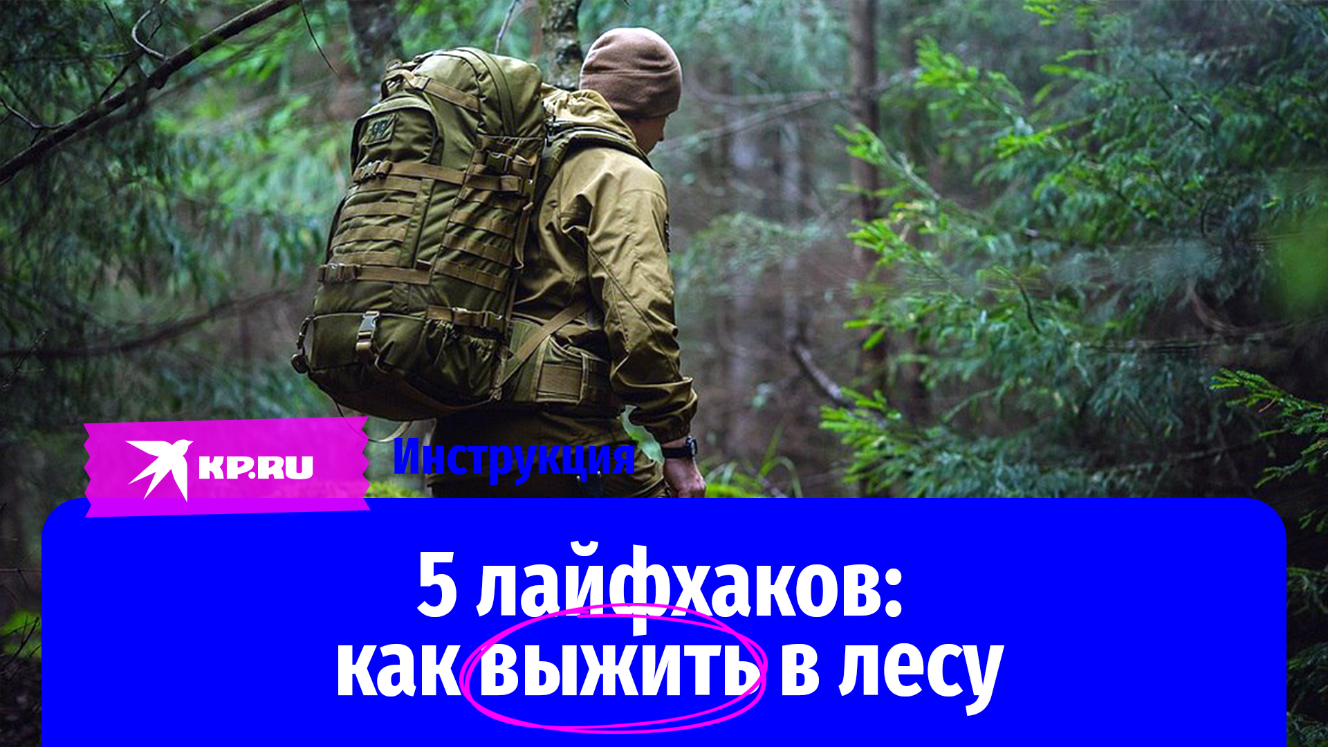 5 лайфхаков: как выжить в лесу смотреть онлайн