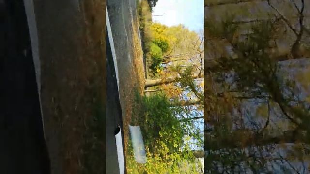 Калашниково ул. Горького д.2 смотреть онлайн