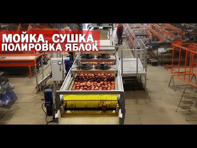Мойка и сушка яблок (видео) смотреть онлайн
