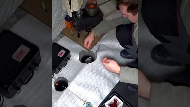 зимняя рыбалка смотреть онлайн