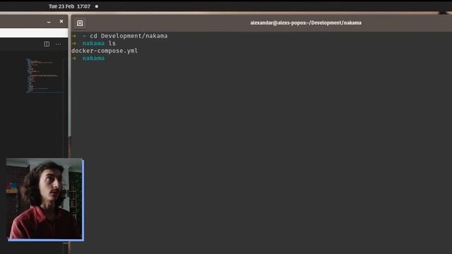 01. Creating a simple online game with ct.js and Nakama - Getting Started with ct.js and Nakama смотреть онлайн
