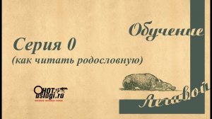 Выбор охотничьей собаки.