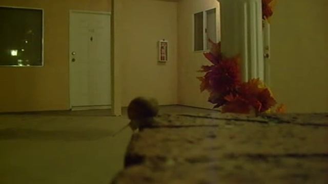 The Snail Adventure! смотреть онлайн