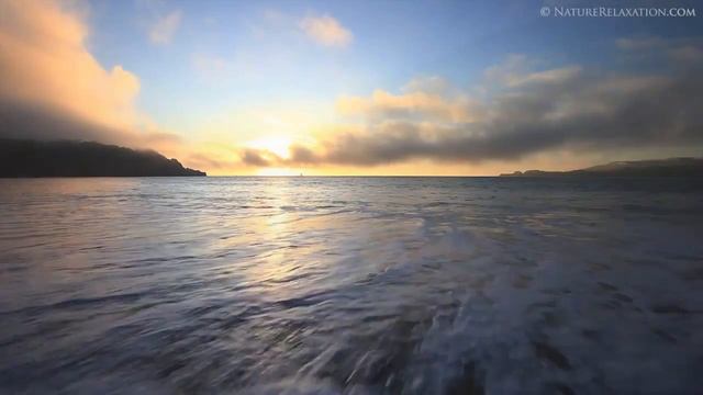 Fibonacci Sequence in Nature смотреть онлайн