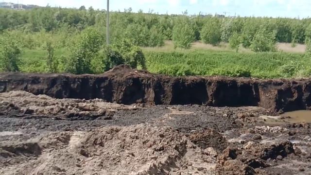 Чем дальше в лес тем больше дров - высокий уровень грунтовых вод + 3 метра торфа на участке смотреть онлайн