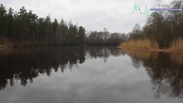 Рыбоохрана Кингисеппского района сокращает незаконные орудия лова. смотреть онлайн