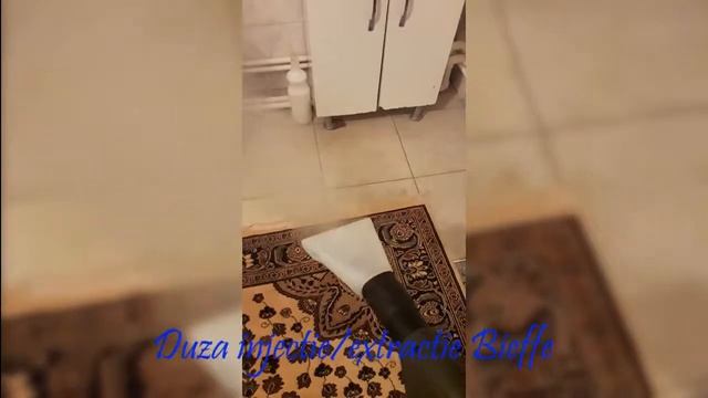 Duza injectie/extractie Bieffe Aspirator Cu Aburi Injectie extractie BIEFFE EMILIO смотреть онлайн