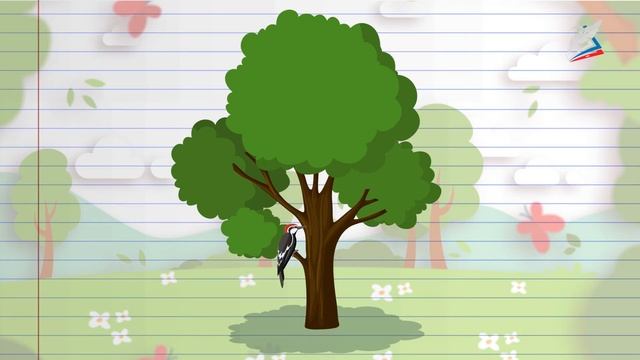 Что такое антонимы? смотреть онлайн