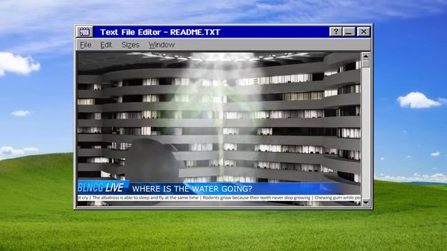 15 Фактов о Бренде Balenciaga