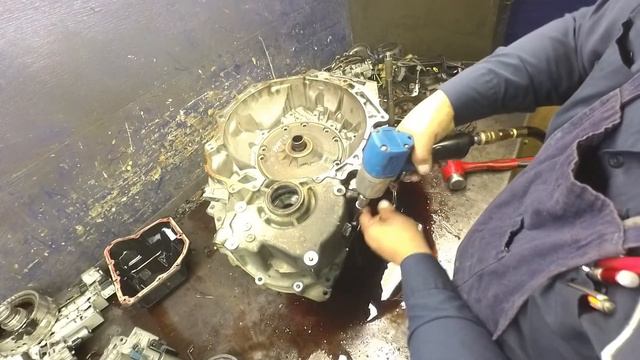 AW55 50SN (AF33) Disassembly смотреть онлайн