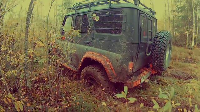 ПОЛЕ, ЛЕС И 2 БОЛОТА смотреть онлайн