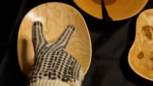 Посуда из древесины Ясеня