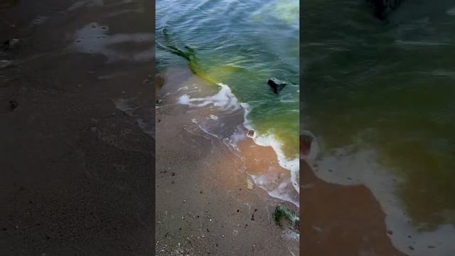 Минское Море ? #море #осень #природа #красота #любовь #дети #монолог #отдых смотреть онлайн