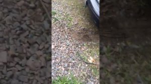 Замена топливной магистрали daewoo nexia