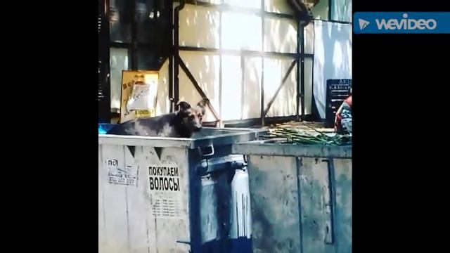 Р-разочарование в любви смотреть онлайн