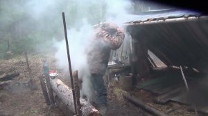 ЭНЦЕФАЛИТНЫЙ КЛЕЩ Почему КЛЕЩЕЙ больше СЕЙЧАС -чем РАНЬШЕ - Энцефалитный клещ вас больше не укусит