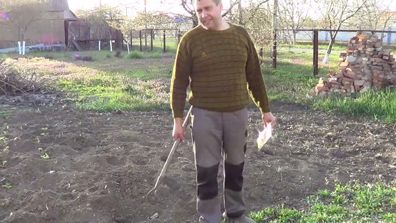 КАК ЗОМБИ / ЧТО ИЗ ЭТОГО ВЫЙДЕТ смотреть онлайн