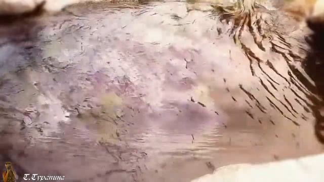 Весна. Пробуждение природы. Релакс.