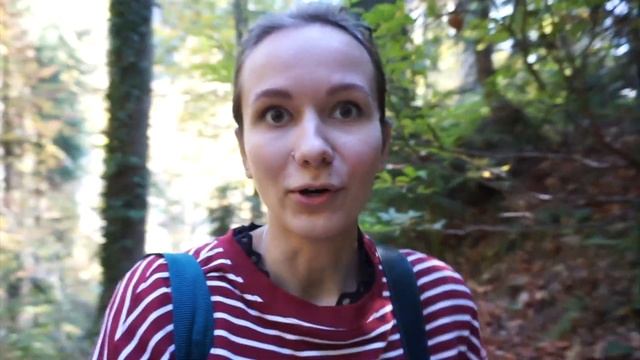 МОРЕ и ГОРЫ ? СОЧИ/АДЛЕР 2020