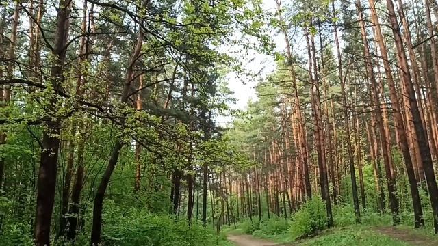 Латвия /Хорошая Погода / Готовлю Драники / Мой Сон/ Ruta Vlog Рига @HozajushkaRuta @RutaLutkevica