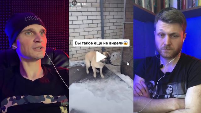 ПОЧЕМУ НЕ ВЫХОДЯТ СЕРИИ? ДЕНЧИК И АНТОША В ТИК-ТОК - CZ-ПОДКАСТ смотреть онлайн