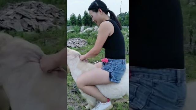 Girl rides her goat смотреть онлайн