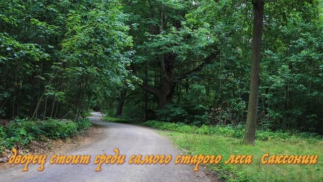 Дворцы и замки Германии. Дворец Моритцбург. Саксония.2020. 4К смотреть онлайн