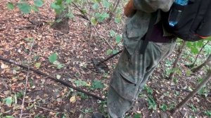 АКа интроник и деус 2 возможности на выбитой поселухе!