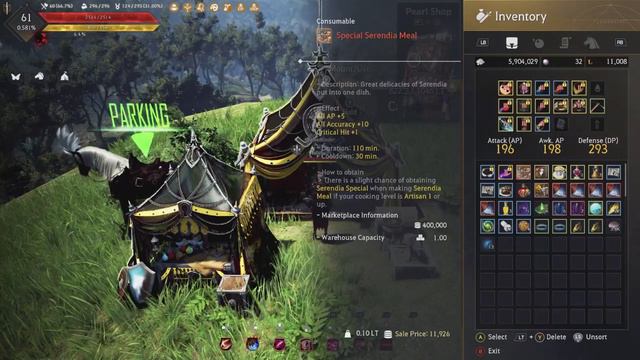 Lahn PvE Guide | Black Desert Online | XBOX/PS4