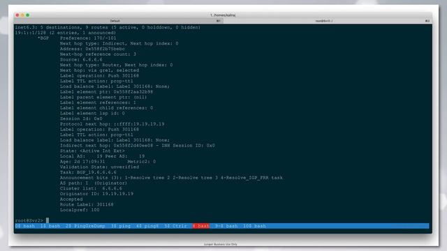 Implementing EPE with cRPD on the Server to Optimize Peering Traffic смотреть онлайн