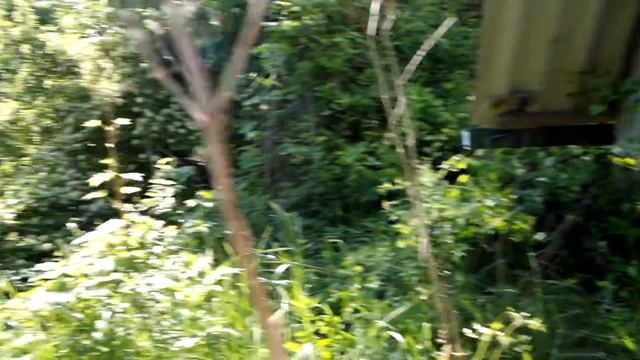 SAM 1099 Краснодарский край г Абинск Родовое Поместье Живой Родник ! Середина мая 2018 г смотреть онлайн